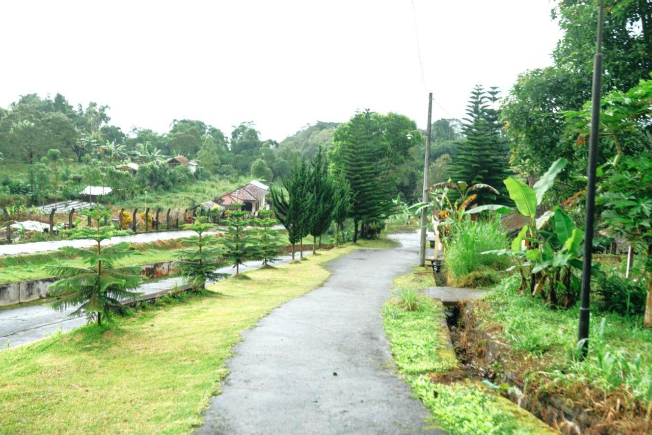 Tunjung Sari Villa Bedugul Bedugul  Zewnętrze zdjęcie