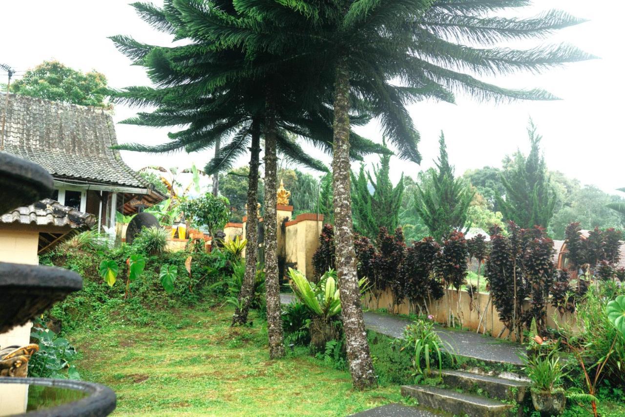 Tunjung Sari Villa Bedugul Bedugul  Zewnętrze zdjęcie
